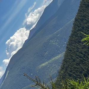 What a Wonderful Day