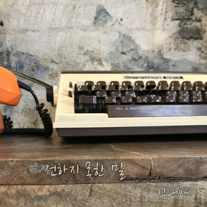 전하지 못한 말