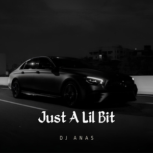 Just A Lil Bit