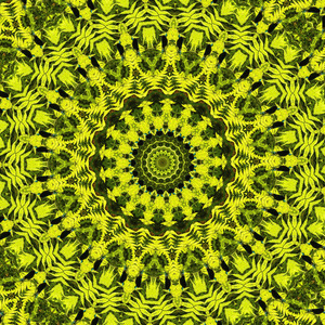 A divine friendship, timeless and true