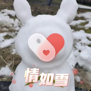 情如雪