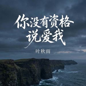 你没有资格说爱我