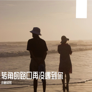 转角的路口再没遇到你