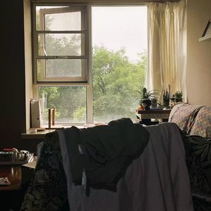 昙花与乌龙(feat.Nc)