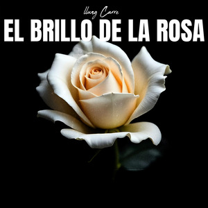 El Brillo de la Rosa