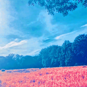 Bussin Out The Garden (feat. bizee & CJ The Don)