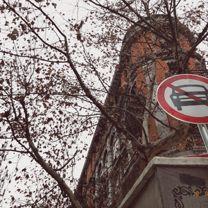 蜜蜂（Cover 万岁爺）