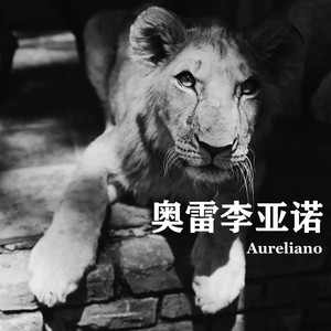 世界是一个大玩具