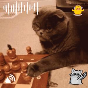 Gambling (yo lo gambleo) (First take)