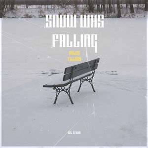 Snow was falling