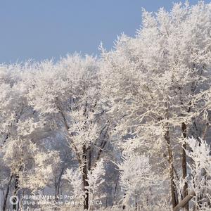 《妈妈你能听见吗》-小盆友