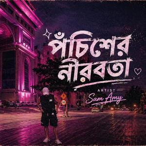 পঁচিশের নীরবতা - Pochiser Nirobota