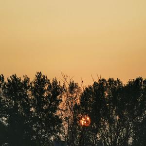 我想和你一起生活在某个小镇