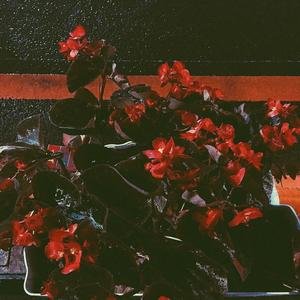 花語（prod.by BFCat）