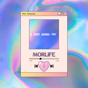 I.D.W.T