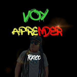 Voy aprender
