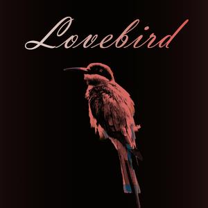 Lovebird (feat. JunHyuk)