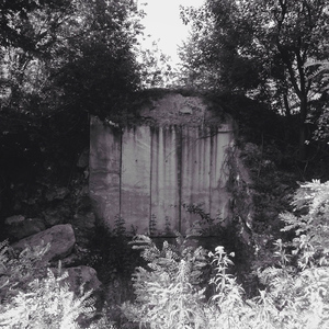 Nothing Will Prevail