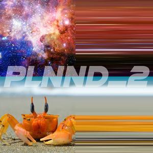plnnd_2