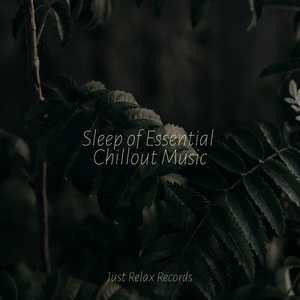 Scarlet Tango Nights