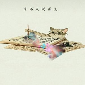 来不及说再见（翻自 艾辰）