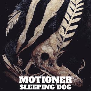 Sleeping Dog