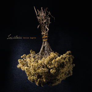 9 Coplas y Media para Justificar Mi Verso