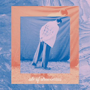 Isle of Strawberries (Slowed + Reverb)