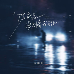 你永远读不懂我的心 (伴奏)