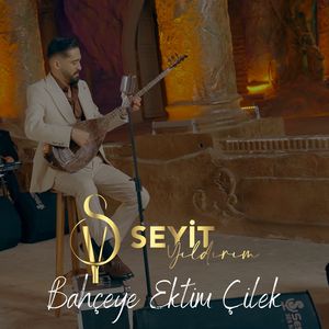 Bahçeye Ektim Çilek