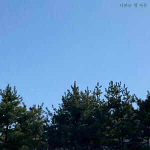 나와는 참 다른