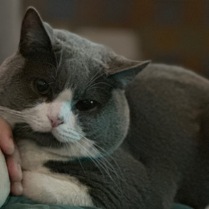 我要我们在一起