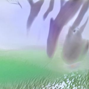 Er