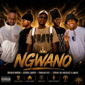 Ngwano (feat. Sgijalo Musiq, Thiblah 015, Teekay Da Vocalist & Mkay)
