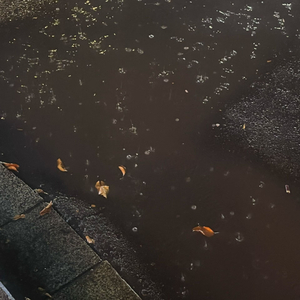 祝周周天天开心