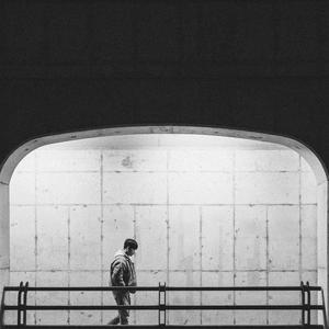 옥상의 민들레꽃