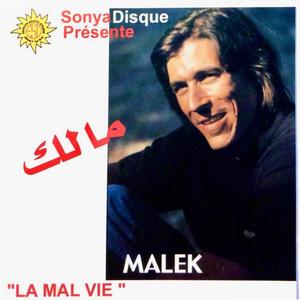 Lyali Tfout