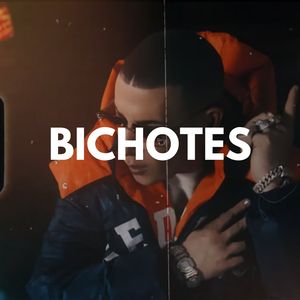 BICHOTES (instrumental)