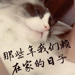 那些年我们赖在家的日子