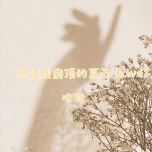 热铁皮房顶的夏天 (Live)