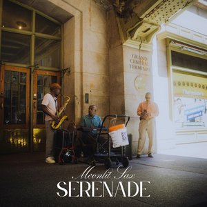 Starry Night Saxophone Dreams