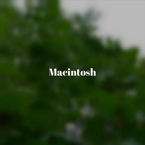 Macintosh