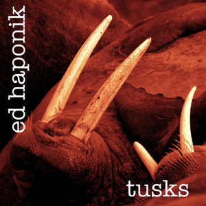 Dunes of Narragansett