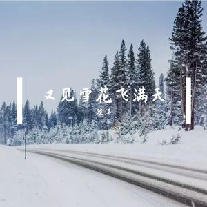 又见雪花飞满天-淡漠 伴奏