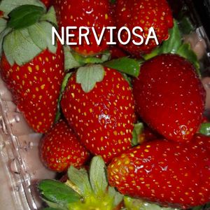 Nerviosa