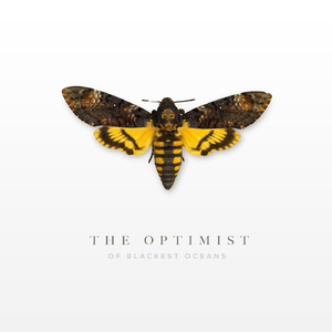 The Optimist