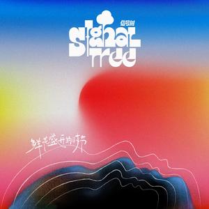 鲜花盛开的时节