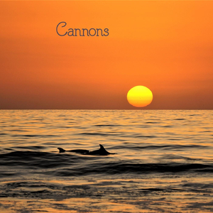Cannons (feat. Slide Creek Band)