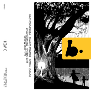 Kindertotenlieder, GMW 45 (Arr. for Voice and Chamber Ensemble by Eberhard Kloke): No. 4, Oft denk' ich, sie sind nur ausgegangen (Live)