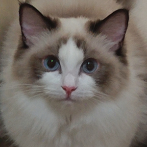 重写宇宙( 《世界之外》「群星启明时」主题歌）